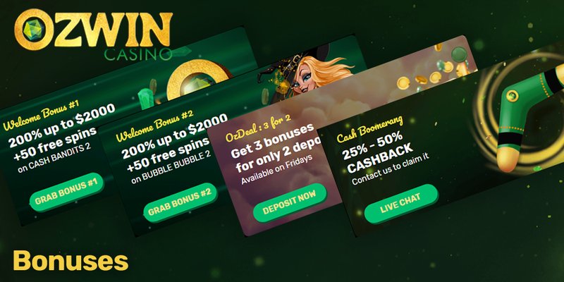 Introduction to ozwin login